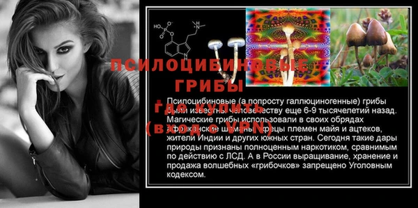 тгк Абдулино